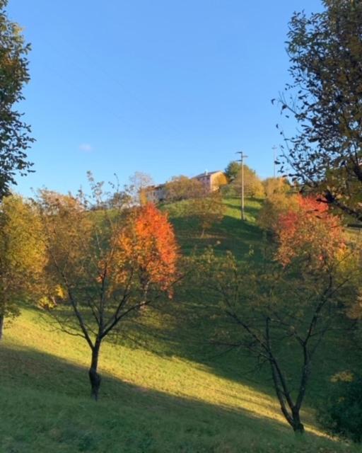 La Corte Di Cesio Monfumo Esterno foto